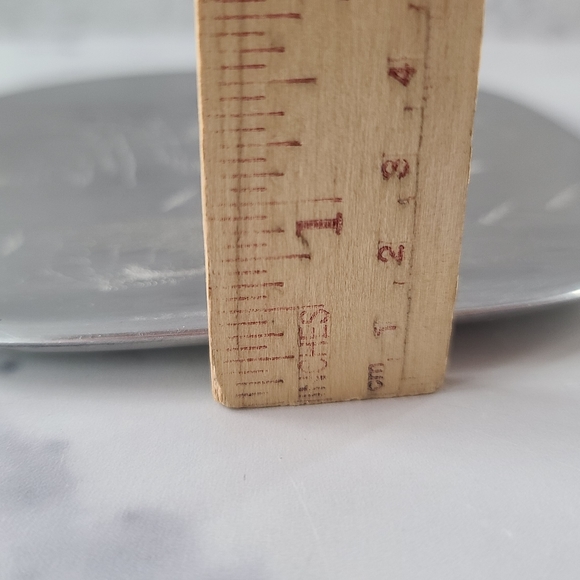 Elizabeth Gardenhire Hand Etched Roadrunner Plate - Picture 10 of 10